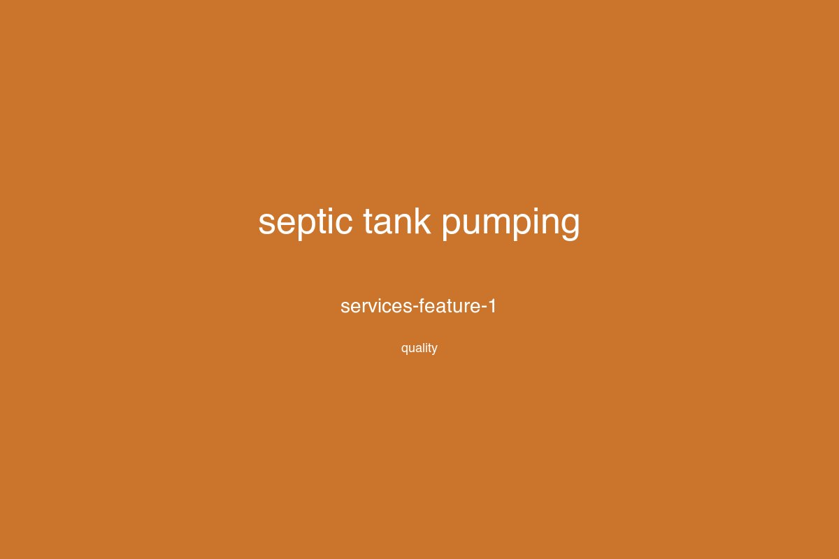 Professional drain services work